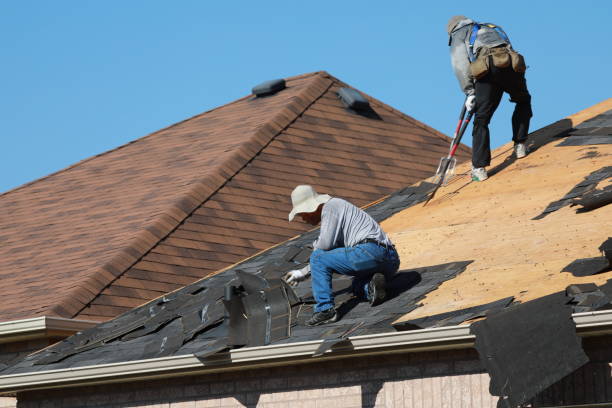 Best Sheet Metal Roofing  in Buffalo, MO